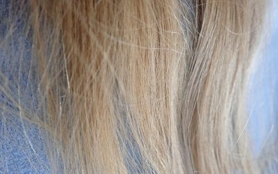 Les cheveux – campagne « Flushe » pas tes ordures