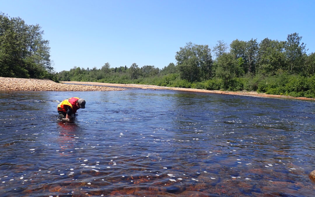 Avancement des travaux sur l’étude hydrogéomorphologique de la rivière des Escoumins